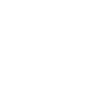 Strijkapplicatie Dolfijn