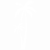Strijkapplicatie Palmbomen