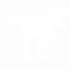 Strijkapplicatie Dino T Rex