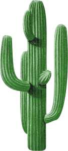 Strijkapplicatie Cactus F