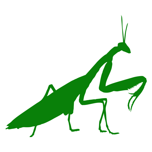 Strijkapplicatie Mantis